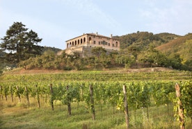 Villa dei Vescovi, Luvigliano di Torreglia (PD)
