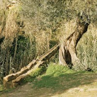 Giornata Mondiale dell'Acqua