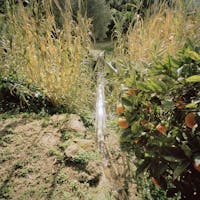 Giornata Mondiale dell'Acqua