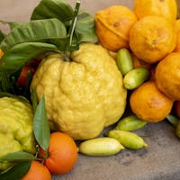 Una foto durante la manifestazione ph. Gabriele Basilico, 2019 © FAI Una foto durante la manifestazione