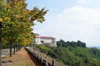 Vista dal viale alberato del Castello di Masino Vista dal viale alberato del Castello di Masino