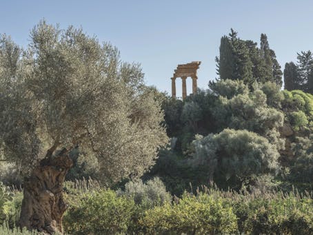 Giardino della Kolymbethra, Bene FAI ad Agrigento