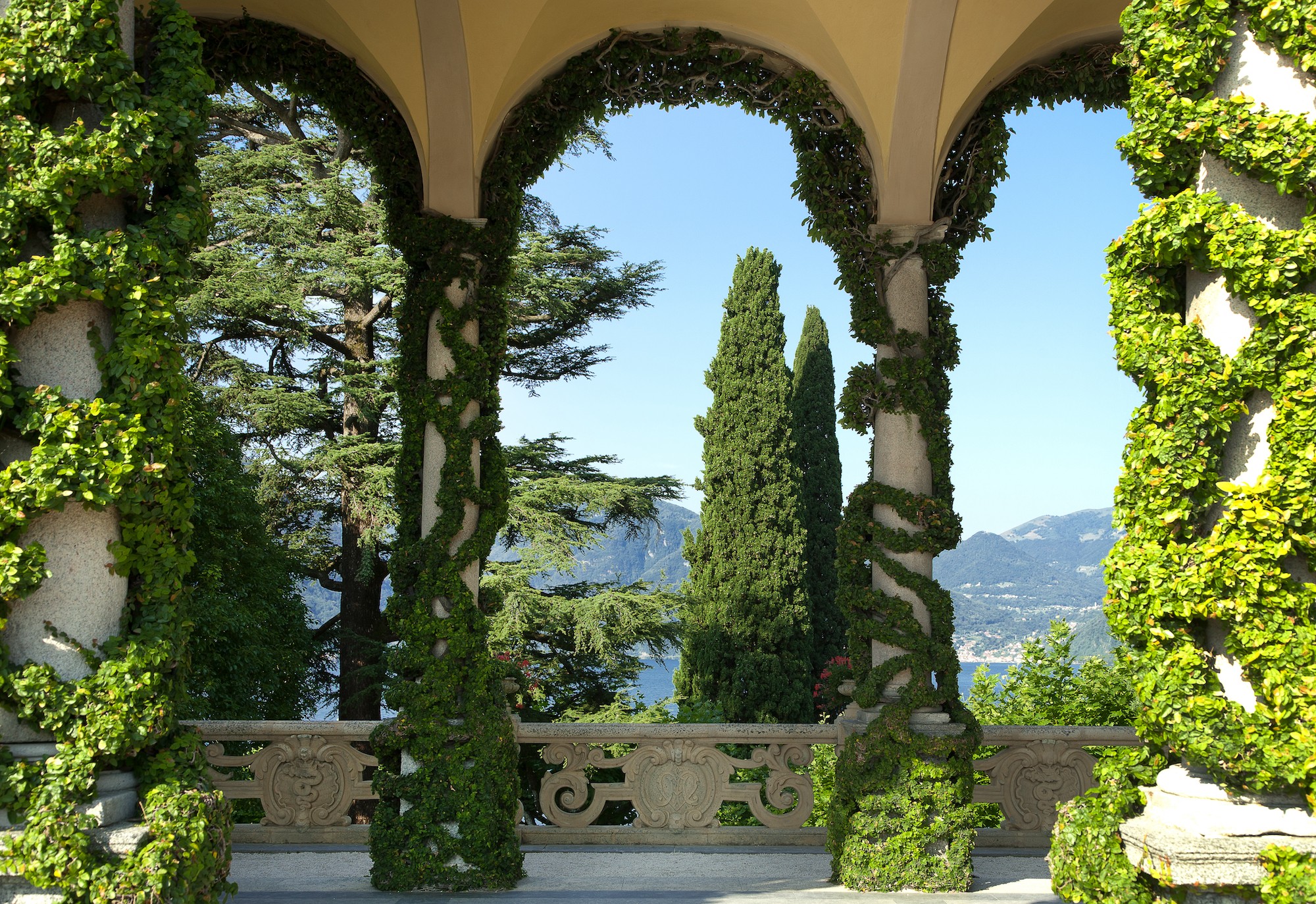 Donazioni e adozioni in memoria