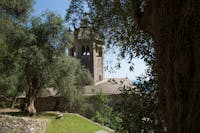 Olivi all'Abbazia di San Fruttuoso, Camogli (GE), Bene FAI dal 1983