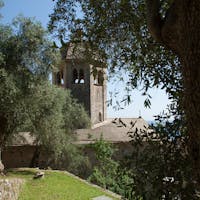 Abbazia di San Fruttuoso | Ph. Alessio Mesiano | Foto © Archivio FAI Olivi all'Abbazia di San Fruttuoso, Camogli (GE), Bene FAI dal 1983