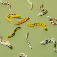 Babao | Espositore a Ceramica a Villa Della Porta Bozzolo © FAI