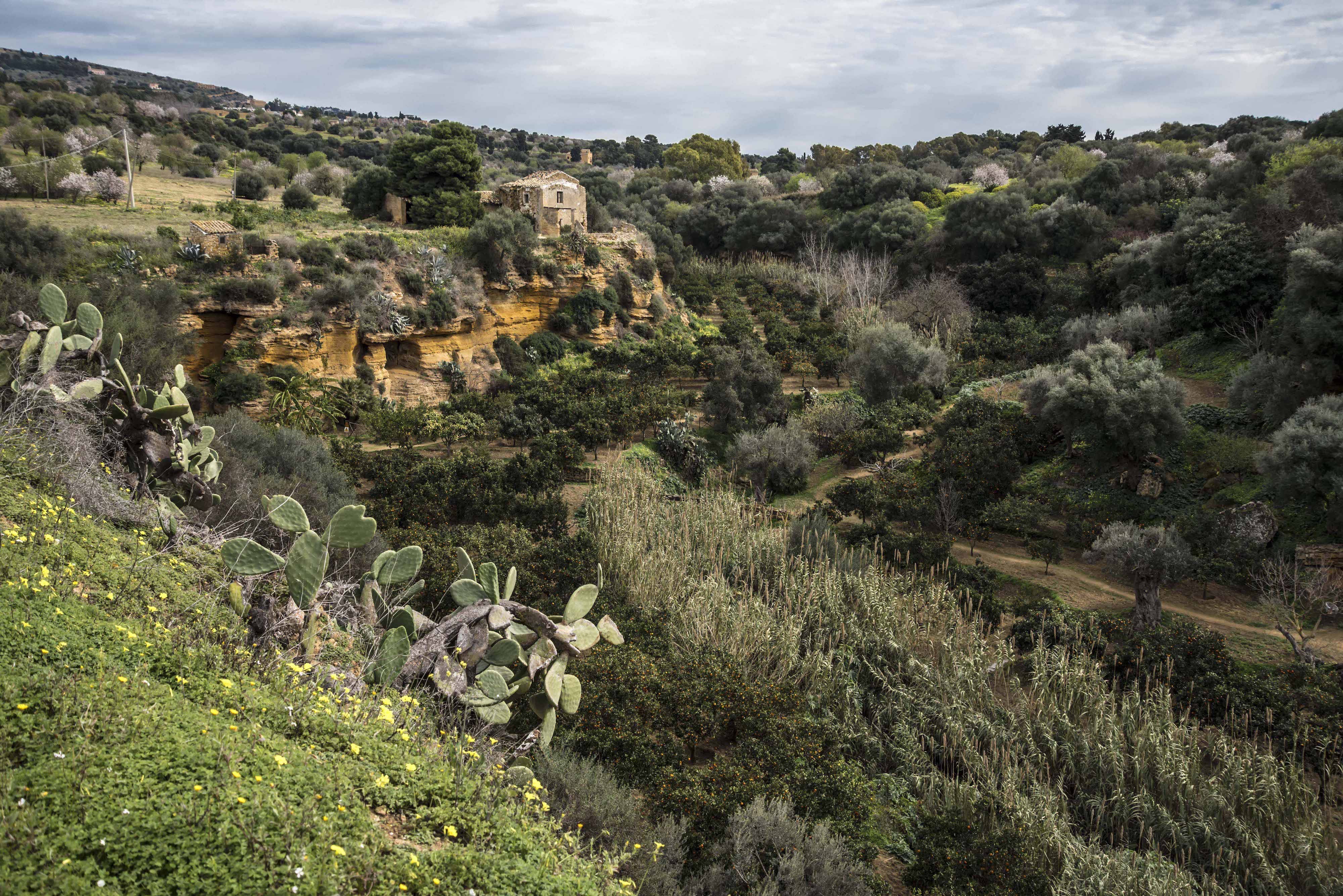Gite scolastiche al Giardino della Kolymbethra
