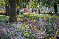 Il giardino di Villa Necchi a Soffio di Primavera | Foto Barbara Verduci, 2022 © FAI Il giardino di Villa Necchi a Soffio di Primavera