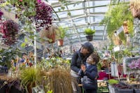 Visitatori a Soffio di Primavera