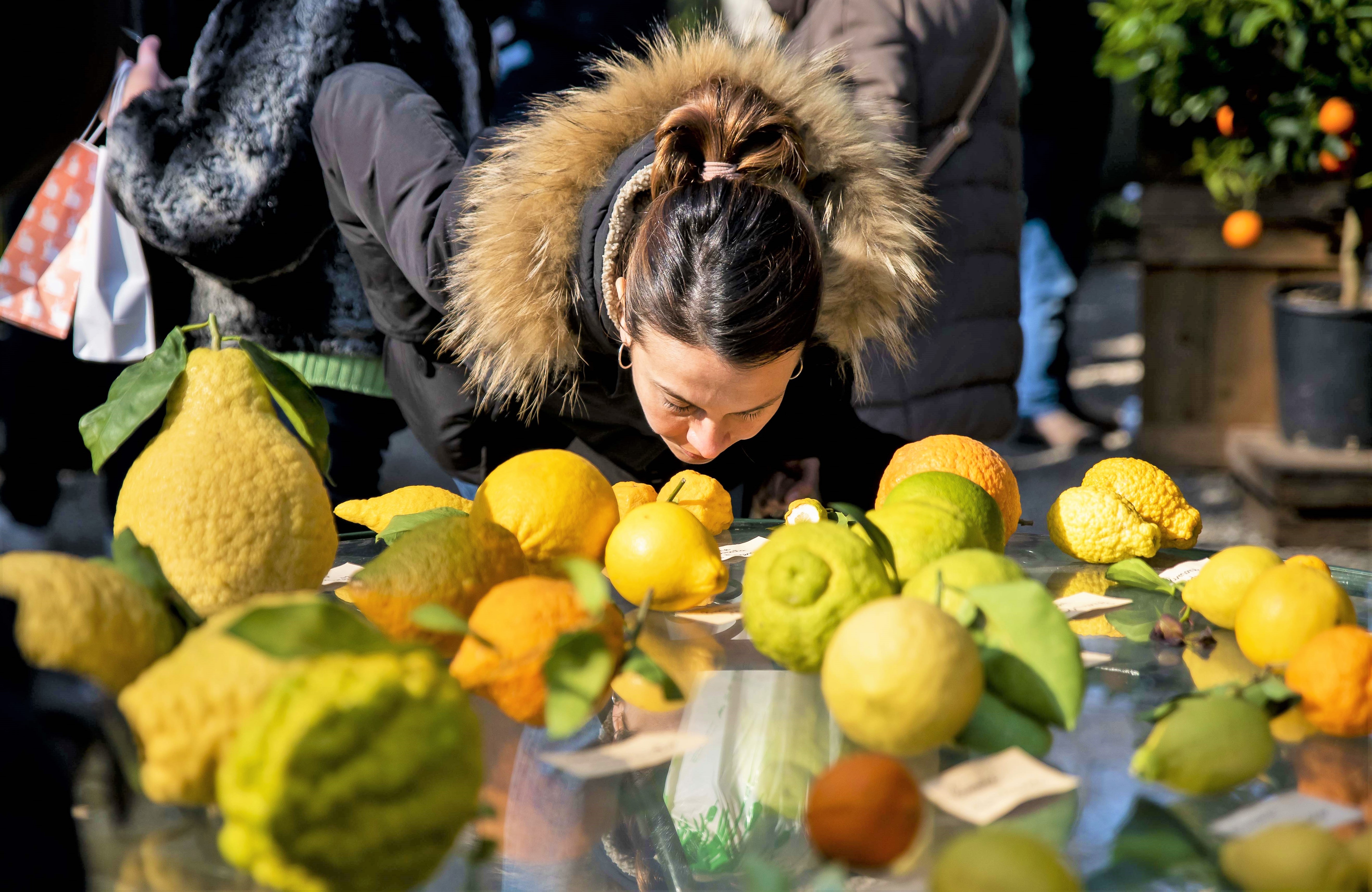 Durante "AgruMI" a Villa Necchi Campiglio, Milano 