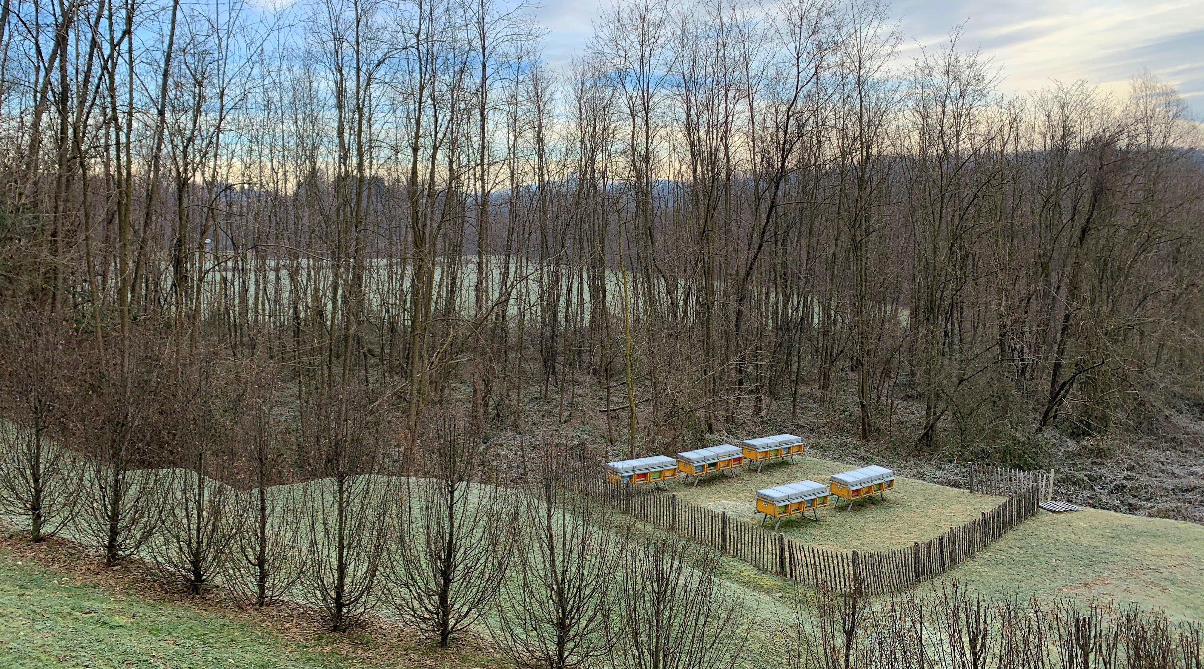 Le arnie del Monastero di Torba (VA) | ph Emanuela Sguazza © FAI