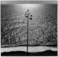 Ugo Mulas, Ossi di seppia, Monterosso,