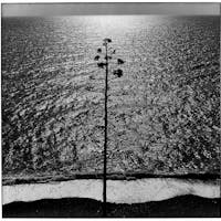 Ugo Mulas, Ossi di seppia, Monterosso, Liguria, Italy, 1962 Photo Ugo Mulas © Ugo Mulas Estate. All rights reserved Ugo Mulas, Ossi di seppia, Monterosso,