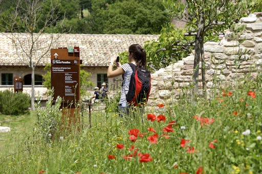 Visitatore, Bosco di San Francesco, Attività
