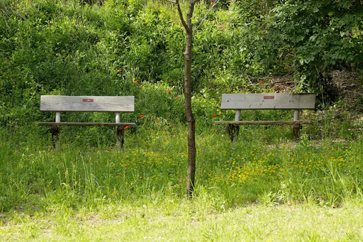Panchine al Bosco di San Francesco, Assisi (PG)