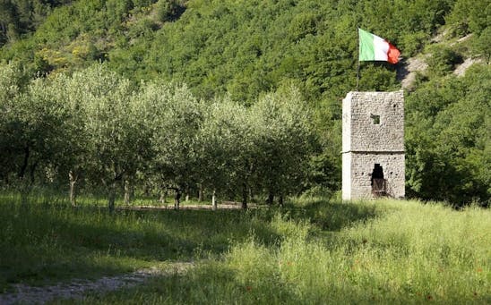 Bosco di San Francesco | Ph. Paolo Barcucci | © Archivio FAI La Torre Annamaria nel Bosco di San Francesco ad Assisi (PG)