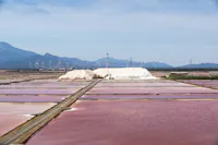 Saline Conti Vecchi (CA)