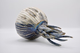 Irene Tzoumas | Espositore a Ceramica a Villa Della Porta Bozzolo © FAI