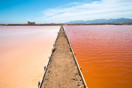 Wedding at Saline Conti Vecchi | FAI - Fondo per l'Ambiente italiano