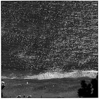 Ugo Mulas, Ossi di seppia, Monterosso, Liguria, Italy, 1962 Photo Ugo Mulas © Ugo Mulas Estate. All rights reserved Ugo Mulas, Ossi di seppia, Monterosso