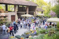  Foto di Gabriele Basilico © FAI