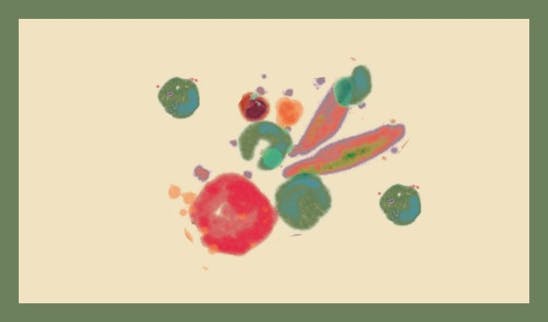 Animali da cortile e da giardino