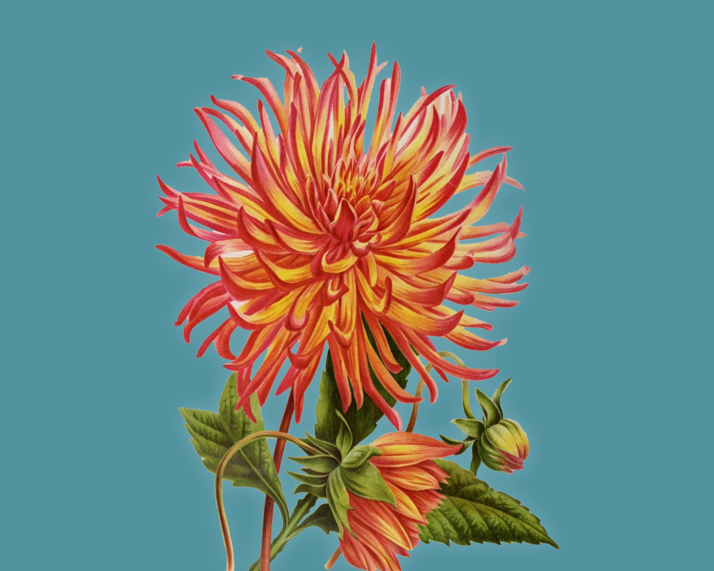 Tre giorni per il giardino autunno 2024