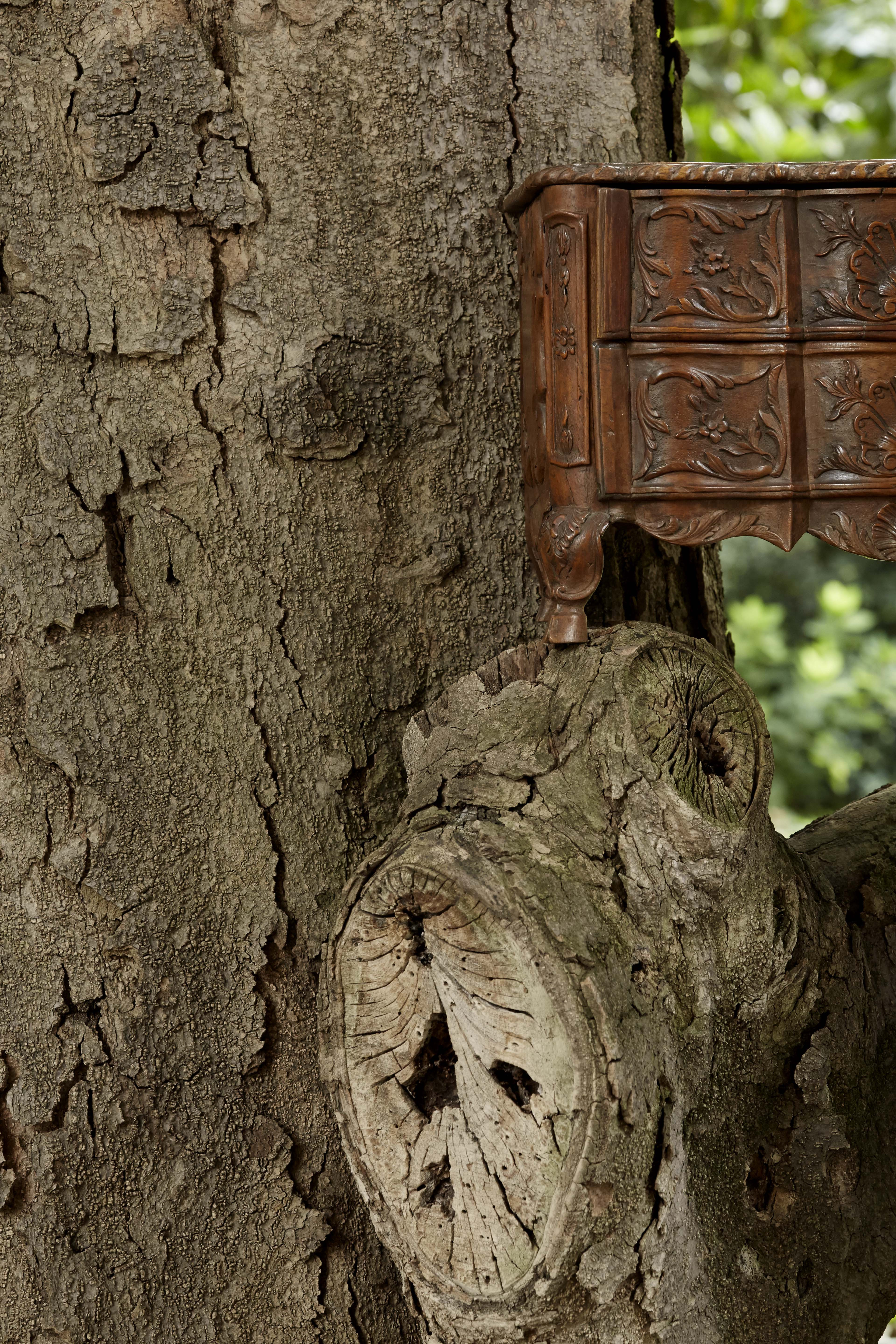Manualmente legno | ph. Guido Taroni | © FAI