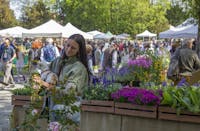 L'edizione primaverile della Tre Giorni per il giardino