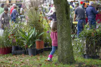 Tre giorni per il giardino