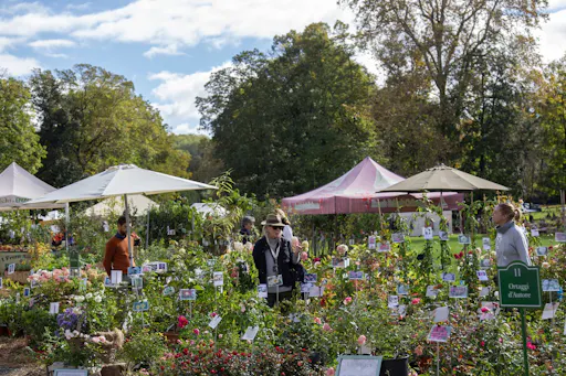 Tre giorni per il giardino 