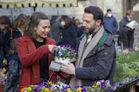 Visitatori a Soffio di Primavera