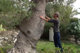 Alessandro Mazzullo Alessandro Mazzullo