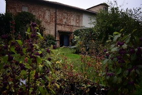 Feletig - Tre Giorni per il Giardino FAI Feletig - Tre Giorni per il Giardino FAI