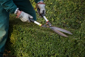 Villa del Balbianello | Ph. Martina Civardi (C) FAI - Fondo per l'Ambiente Italiano Villa del Balbianello | Ph. Martina Civardi (C) FAI - Fondo per l'Ambiente Italiano