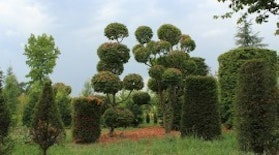 Cappellini - Tre Giorni per il Giardino © FAI - Tre Giorni per il Giardino © FAI Cappellini - Tre Giorni per il Giardino © FAI - Tre Giorni per il Giardino © FAI