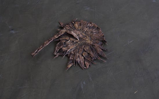 Ambra Castagnetti, Sans Soleil | Foto © FAI Ambra Castagnetti, Sans Soleil