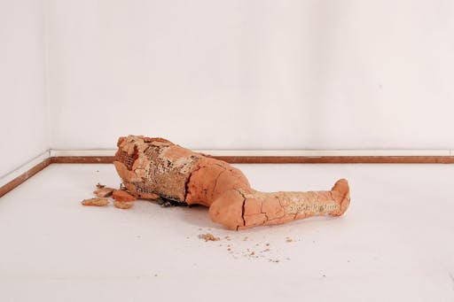 Marta Cosca, Protesica