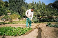 Canalina d'acqua su terra battuta. Giardino della Kolymbethra, Valle dei Templi (Agrigento). 