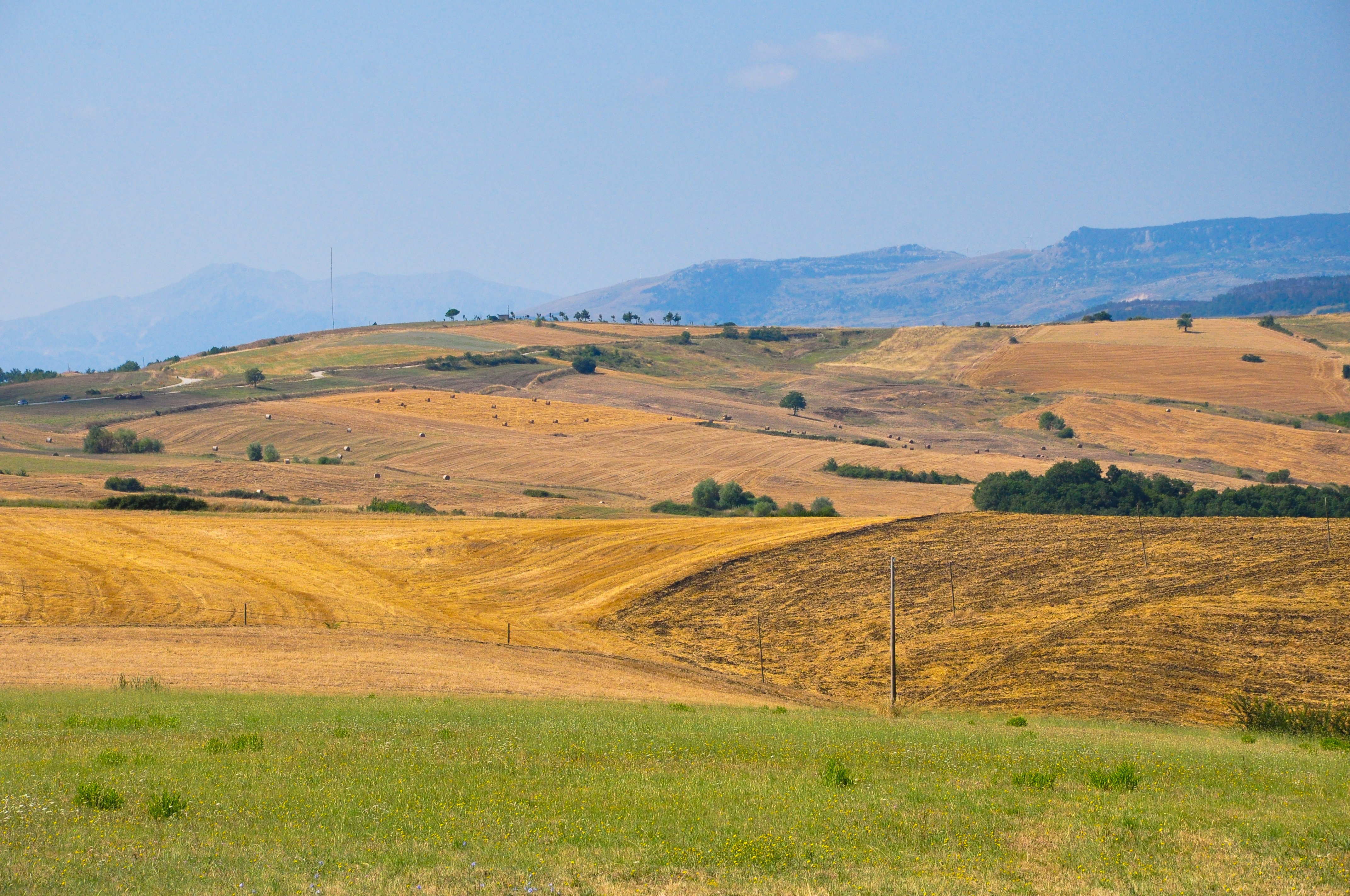 Colline fra Campobasso e Termoli - Foto di Luca Volpi (C) Freepik)