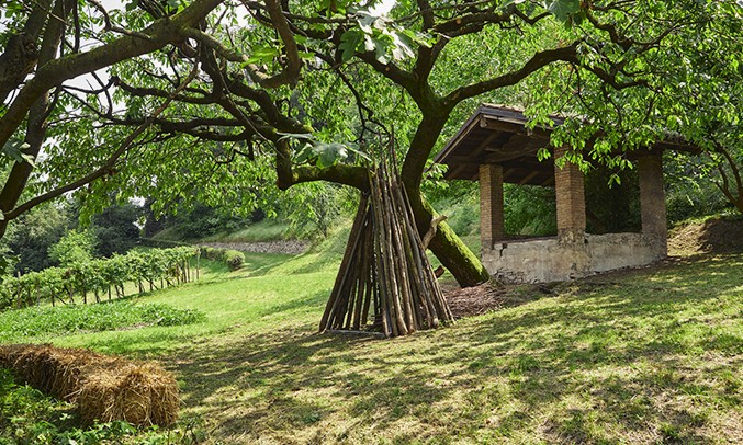 Una passeggiata a...
