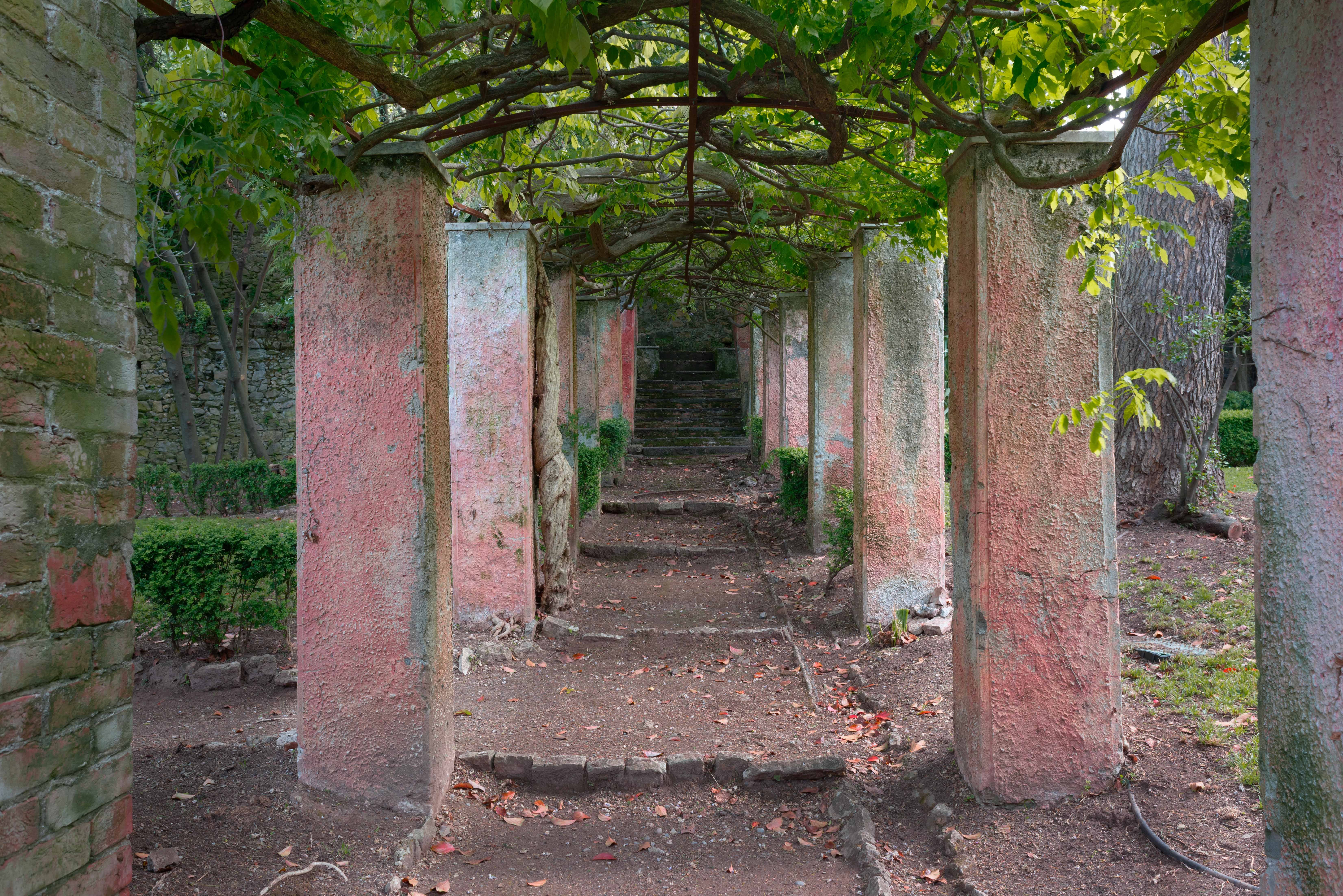 Il pergolato di Villa Rezzola | Foto Davide Marcesini (C) FAI