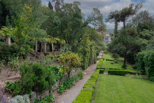 Vegetazione a Villa Rezzola