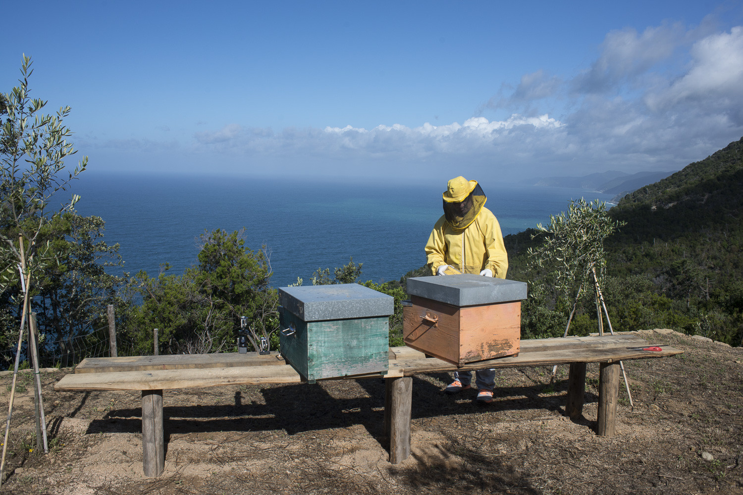 Davide Marcesini, 2016 © FAI