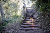 restauro del giardino