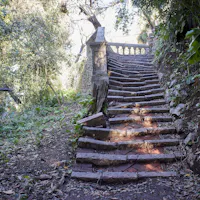 restauro del giardino