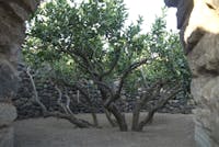 patrimonio storico edilizio