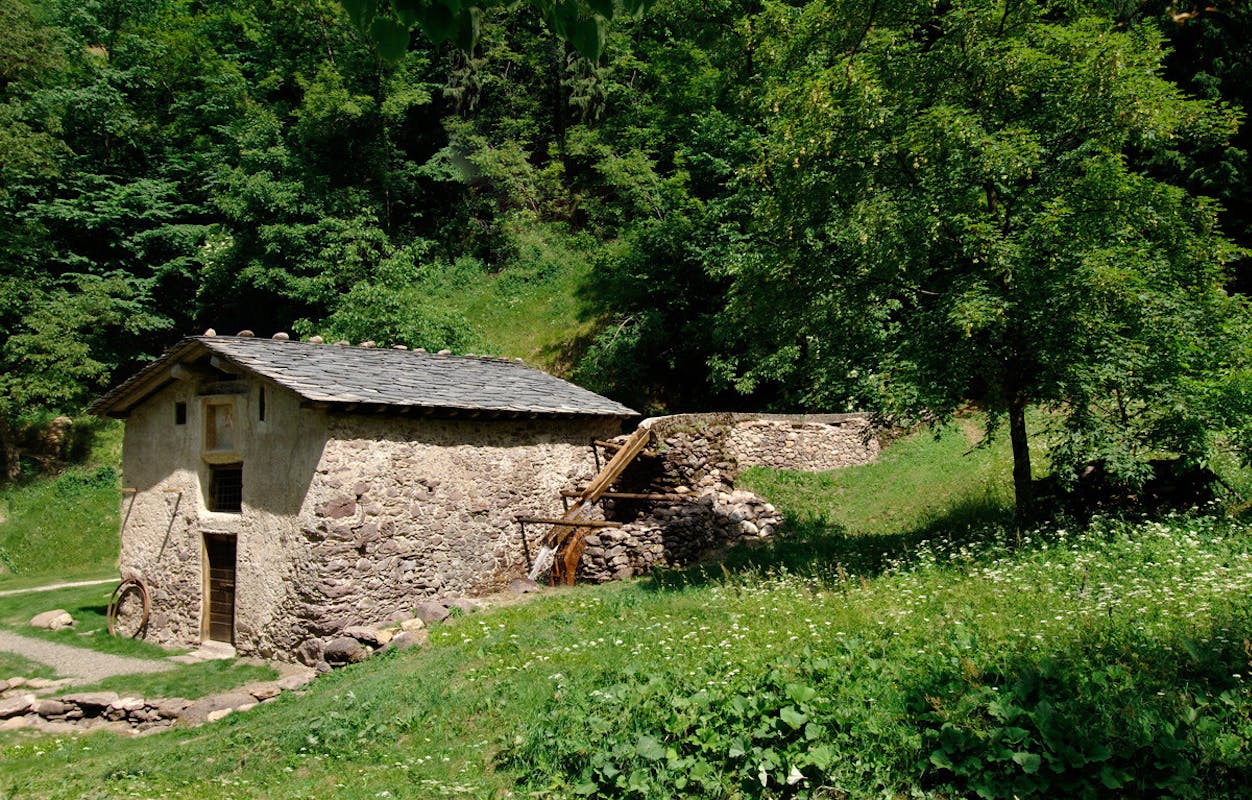 Gite scolastiche al mulino "Maurizio Gervasoni" Gite scolastiche al mulino "Maurizio Gervasoni"