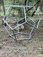 Bosco di Curadureddu