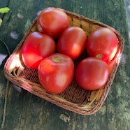 Fatti i pomodori tuoi - Tre Giorni per il Giardino © FAI 